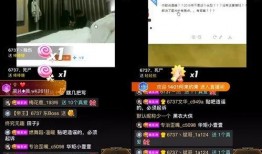 崇阳最新爆料事件视频播放,视频揭露惊人真相，事件引发社会关注